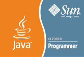 Sun Certified Java Programmer